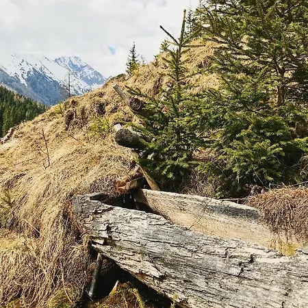 Apartmán Hoamat House I Boutique